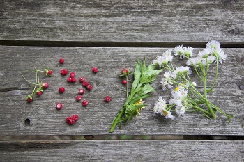 2020GW号《表紙》